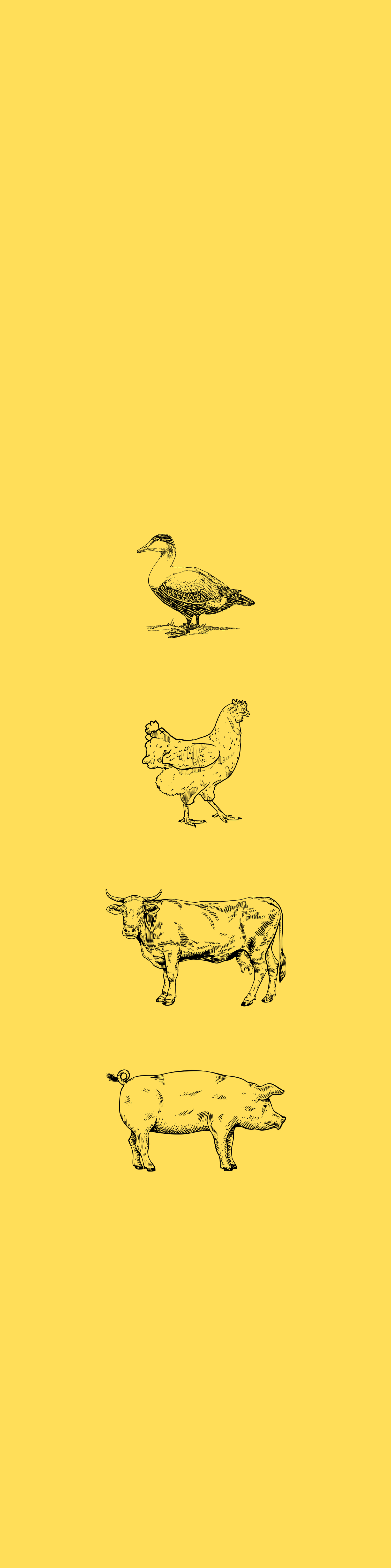 Farmyard Animals Yellow Table Runner (40 x 160cm)